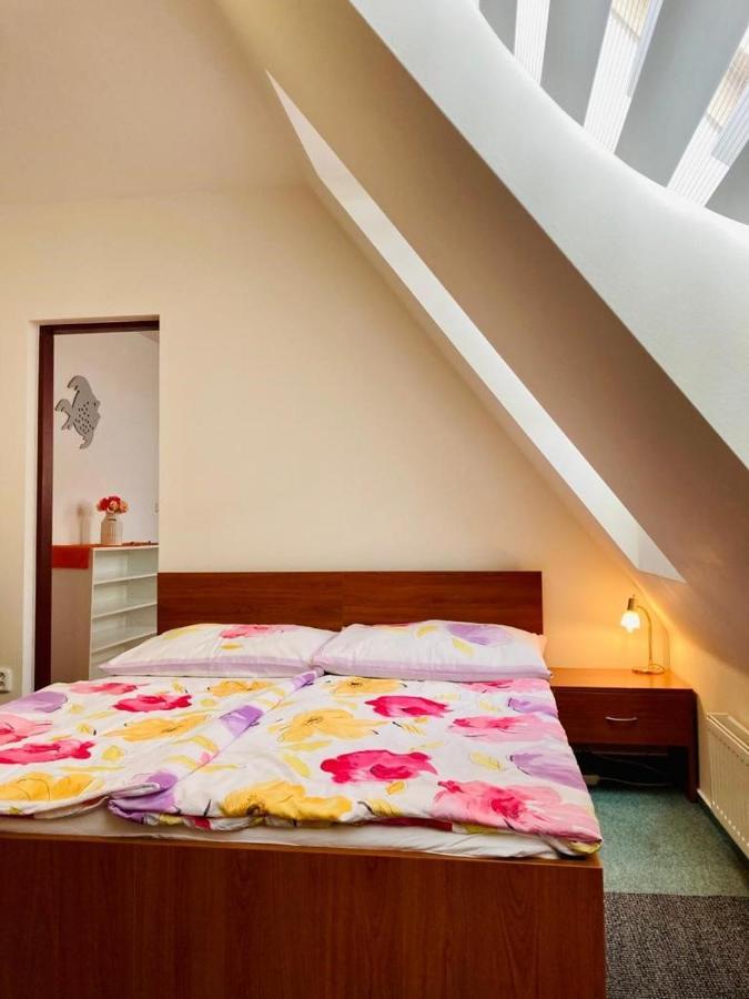Apartmany, Penzion, Wellness U Zlate Rybky Вишков Экстерьер фото