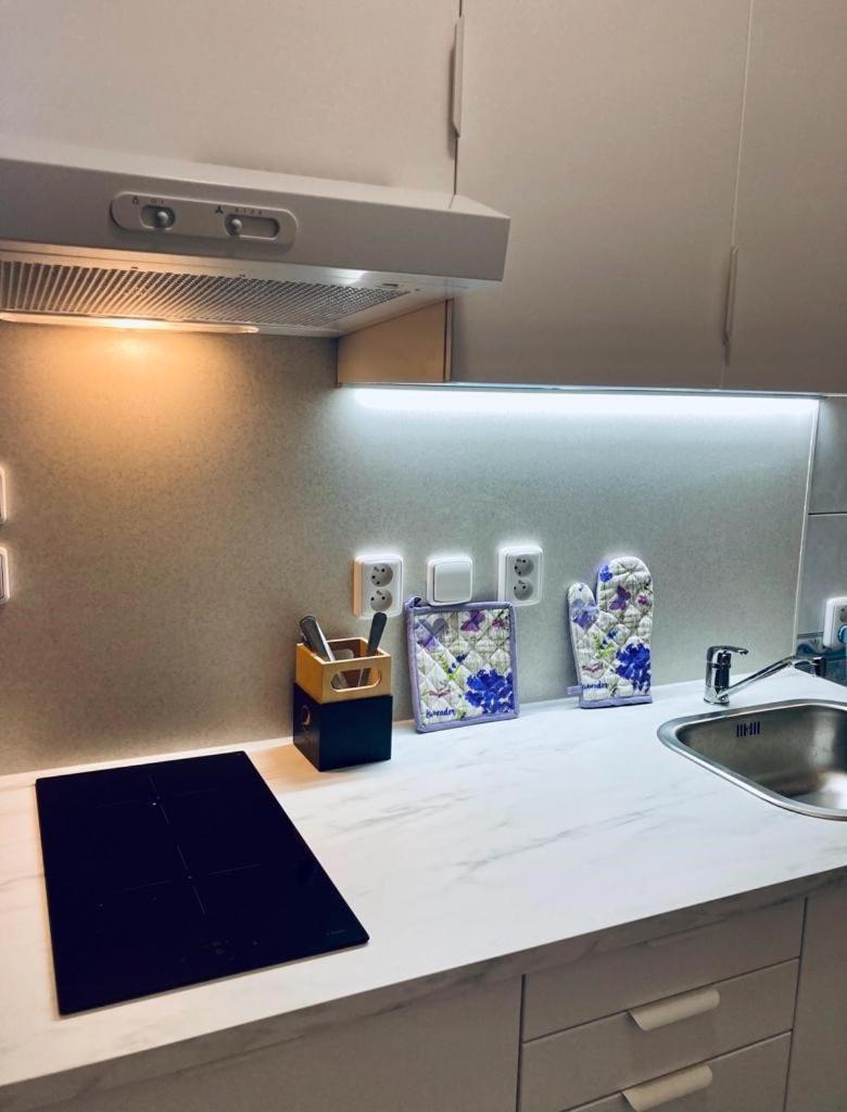 Apartmany, Penzion, Wellness U Zlate Rybky Вишков Экстерьер фото