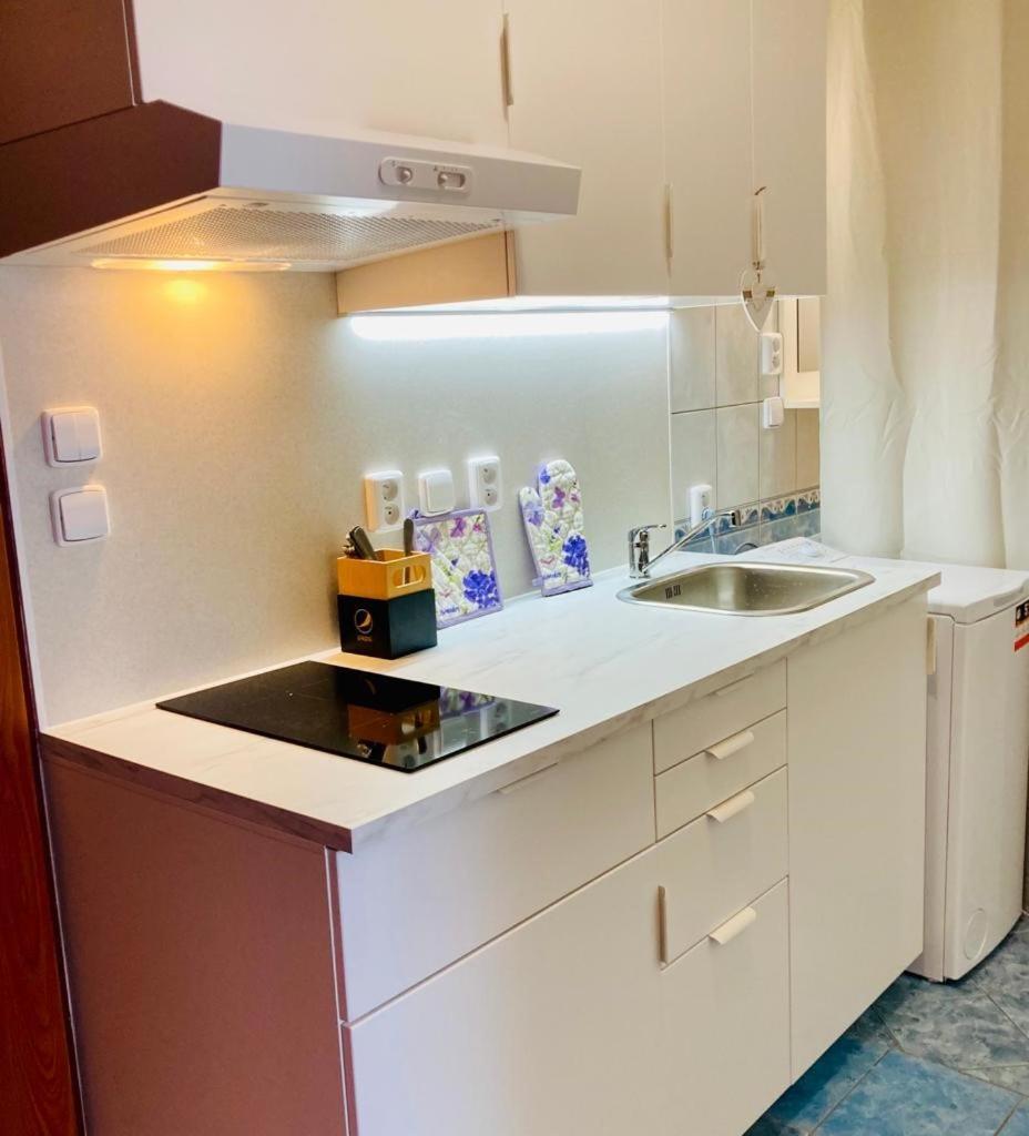 Apartmany, Penzion, Wellness U Zlate Rybky Вишков Экстерьер фото