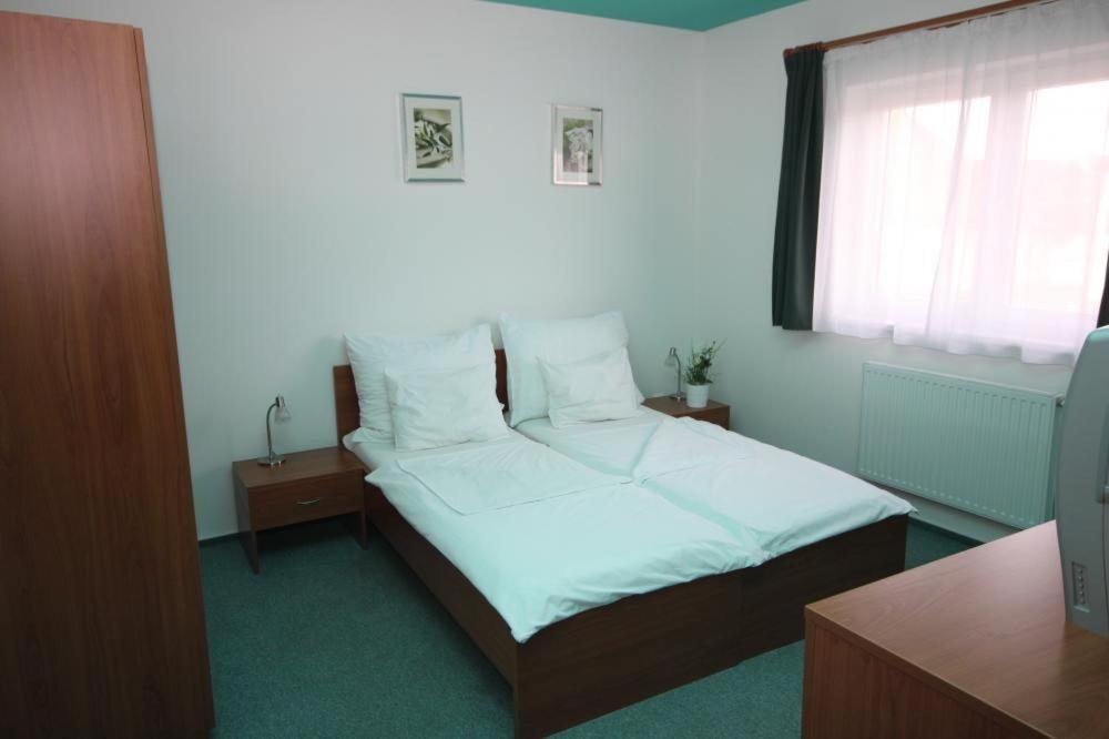 Apartmany, Penzion, Wellness U Zlate Rybky Вишков Экстерьер фото