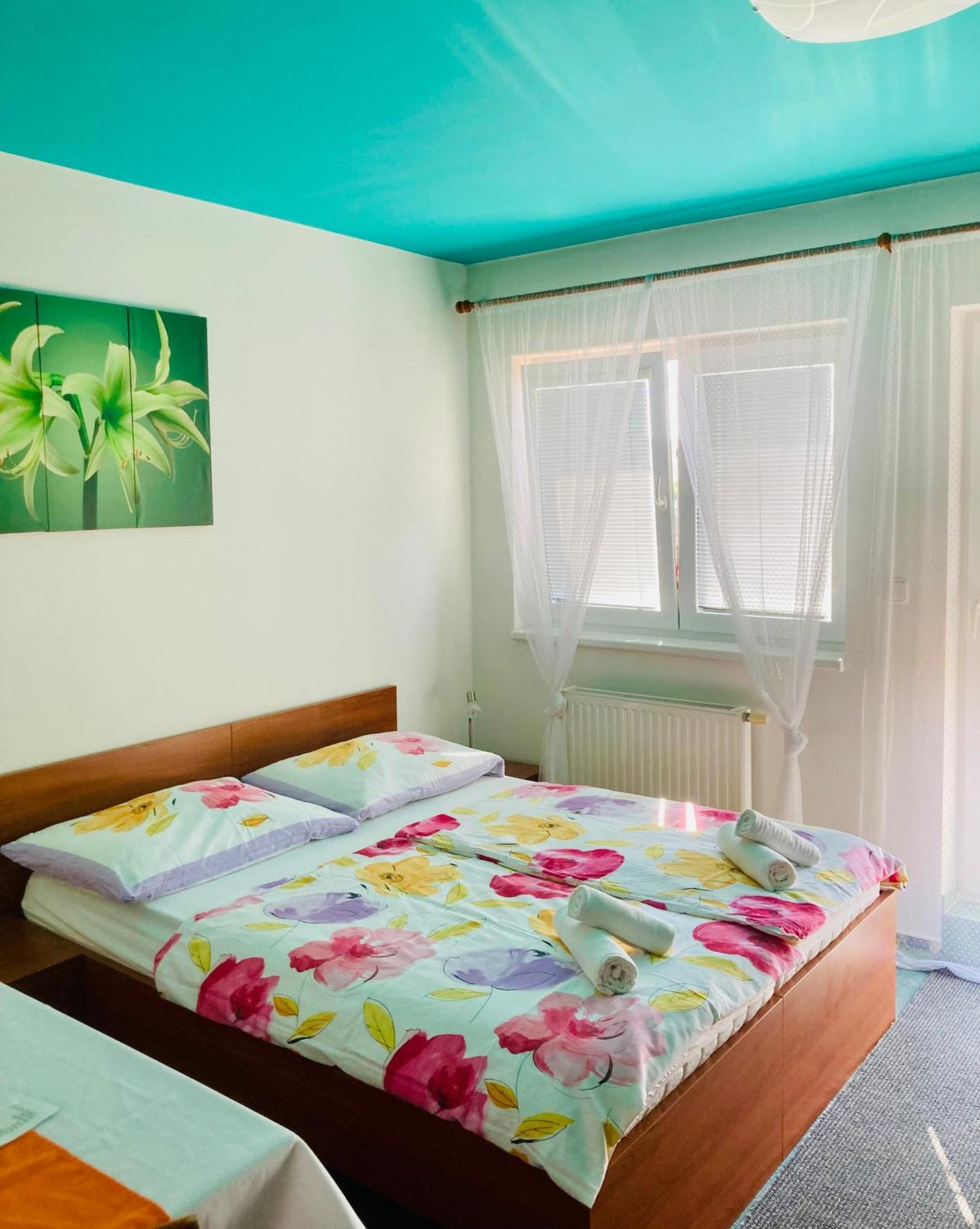 Apartmany, Penzion, Wellness U Zlate Rybky Вишков Экстерьер фото
